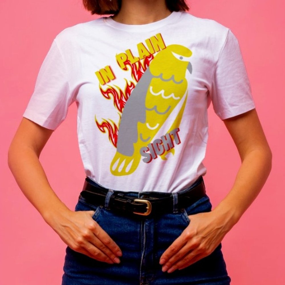In Plain Sight Tshirts